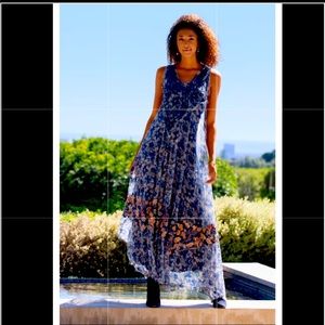 Johnny Was Max Mesh Dress NWT S